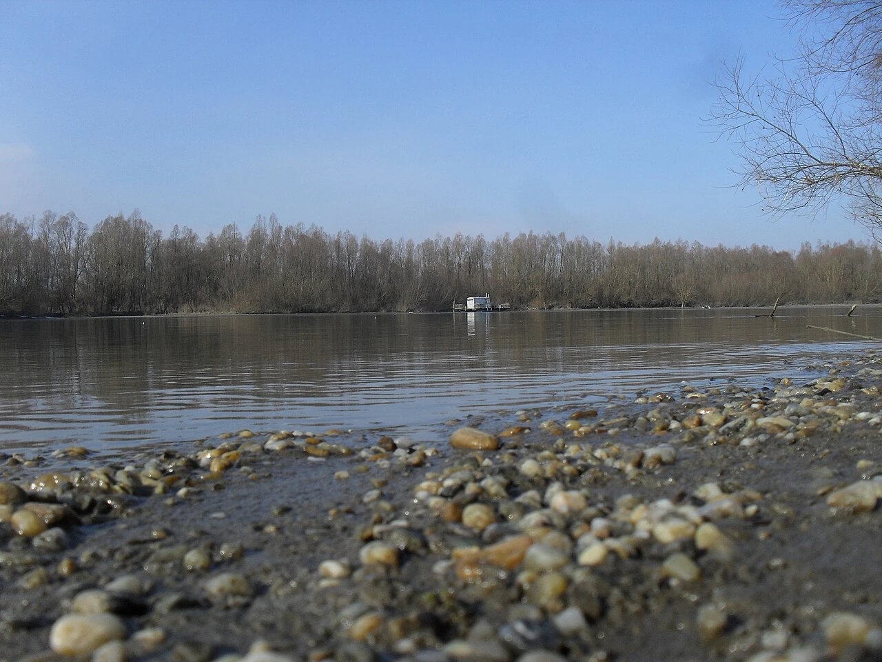 Obala Drave kod Pitomače na arhivskoj fotografiji iz 2011.